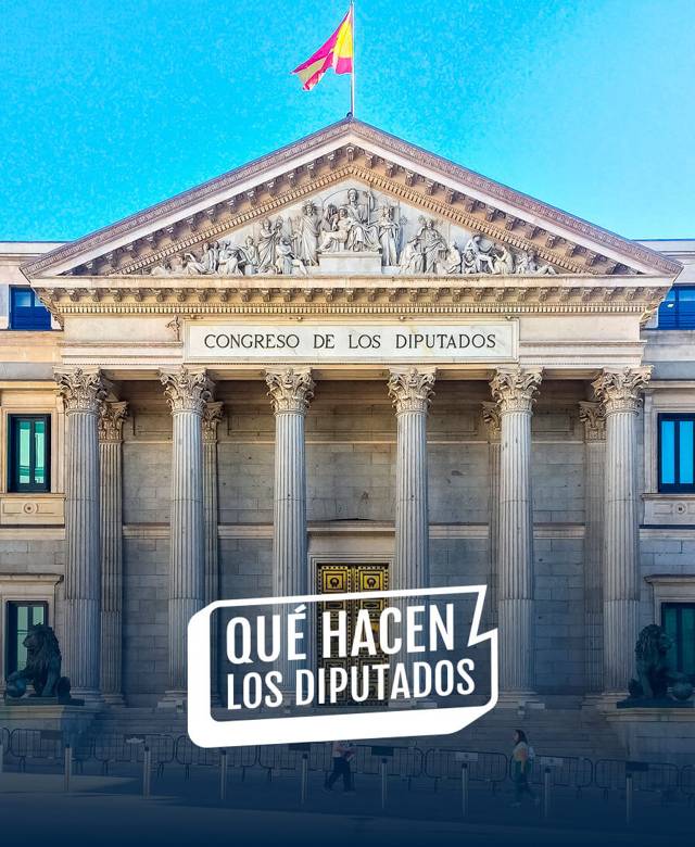 Qué Hacen Los Diputados