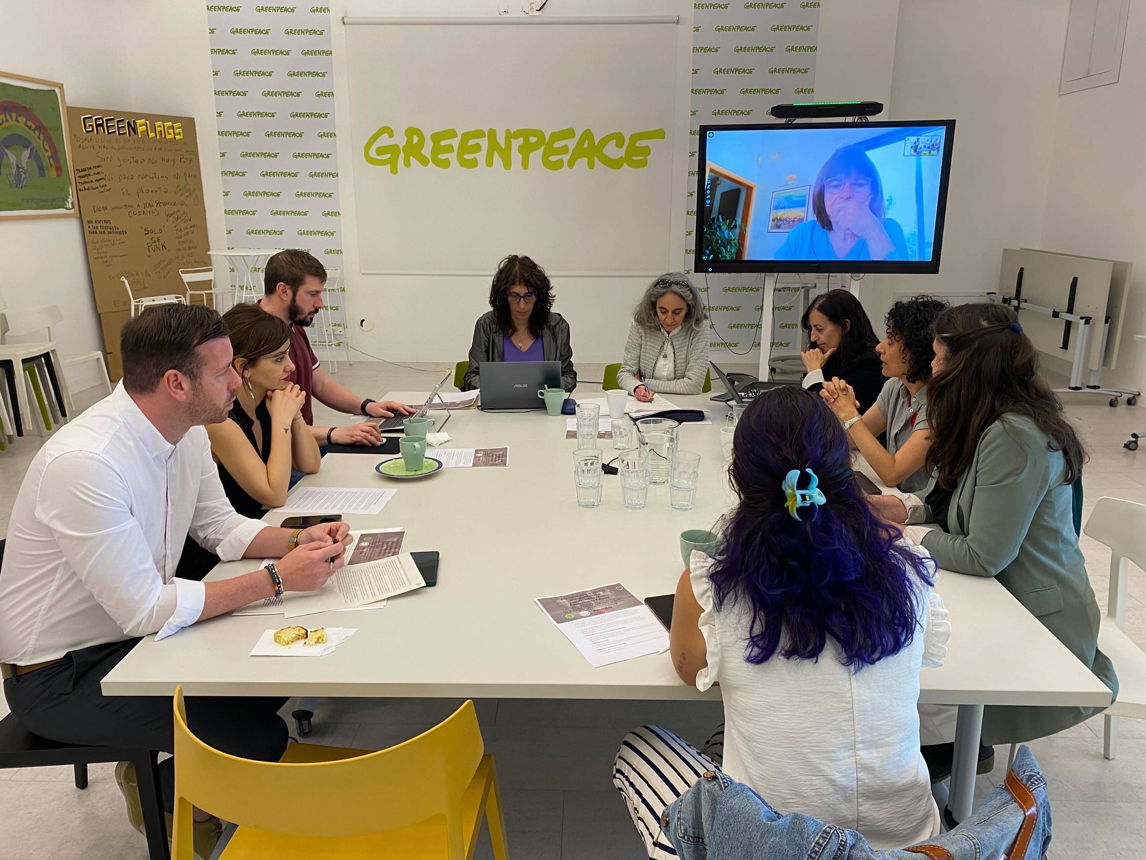 Greenpeace, Political Watch, Revo Prosperidad Sostenible y WEAll Iberia se reúnen con la ministra de Juventud e Infancia para impulsar la justicia intergeneracional